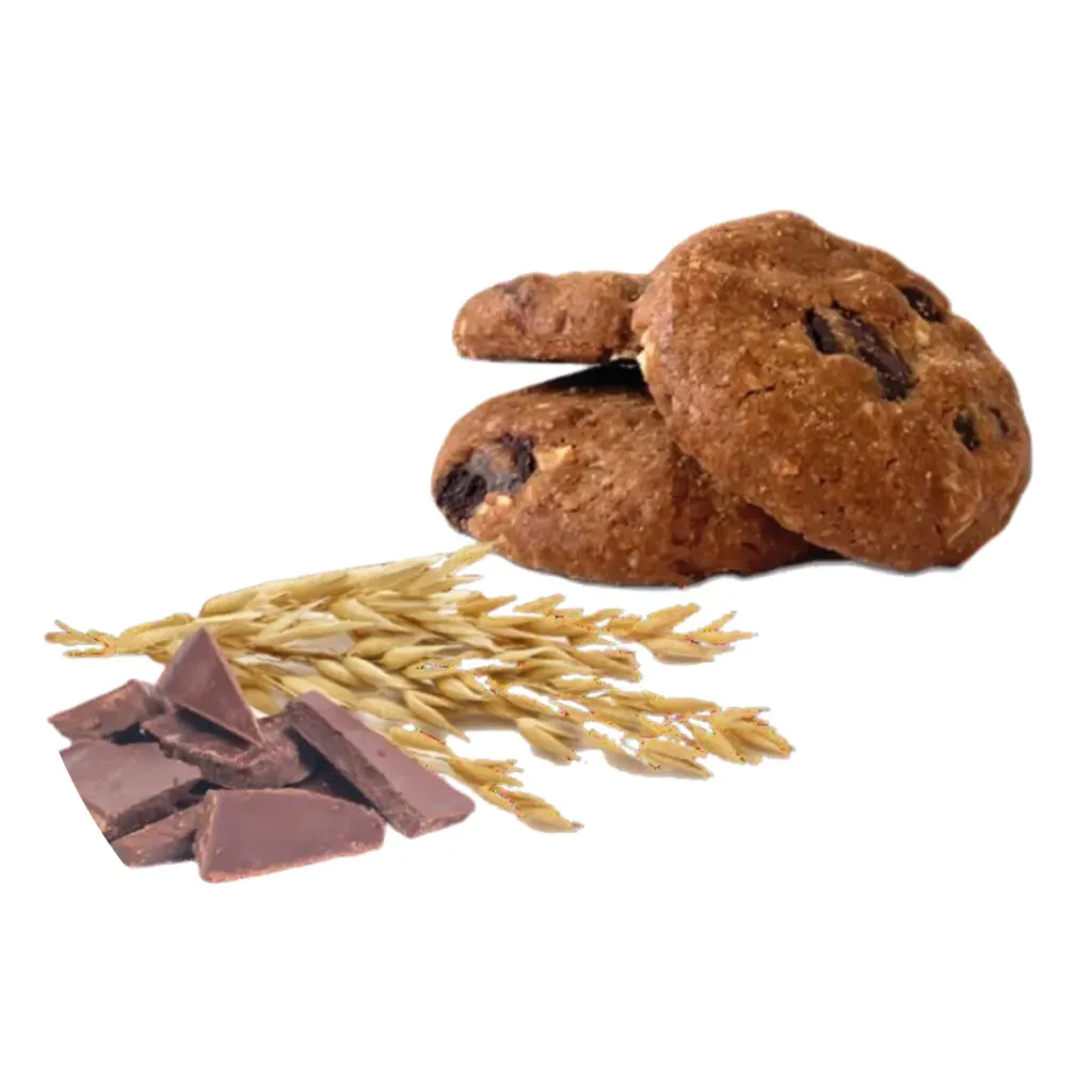 Biscuits Avoine-Chocolat Sans gluten-vegan /100gr