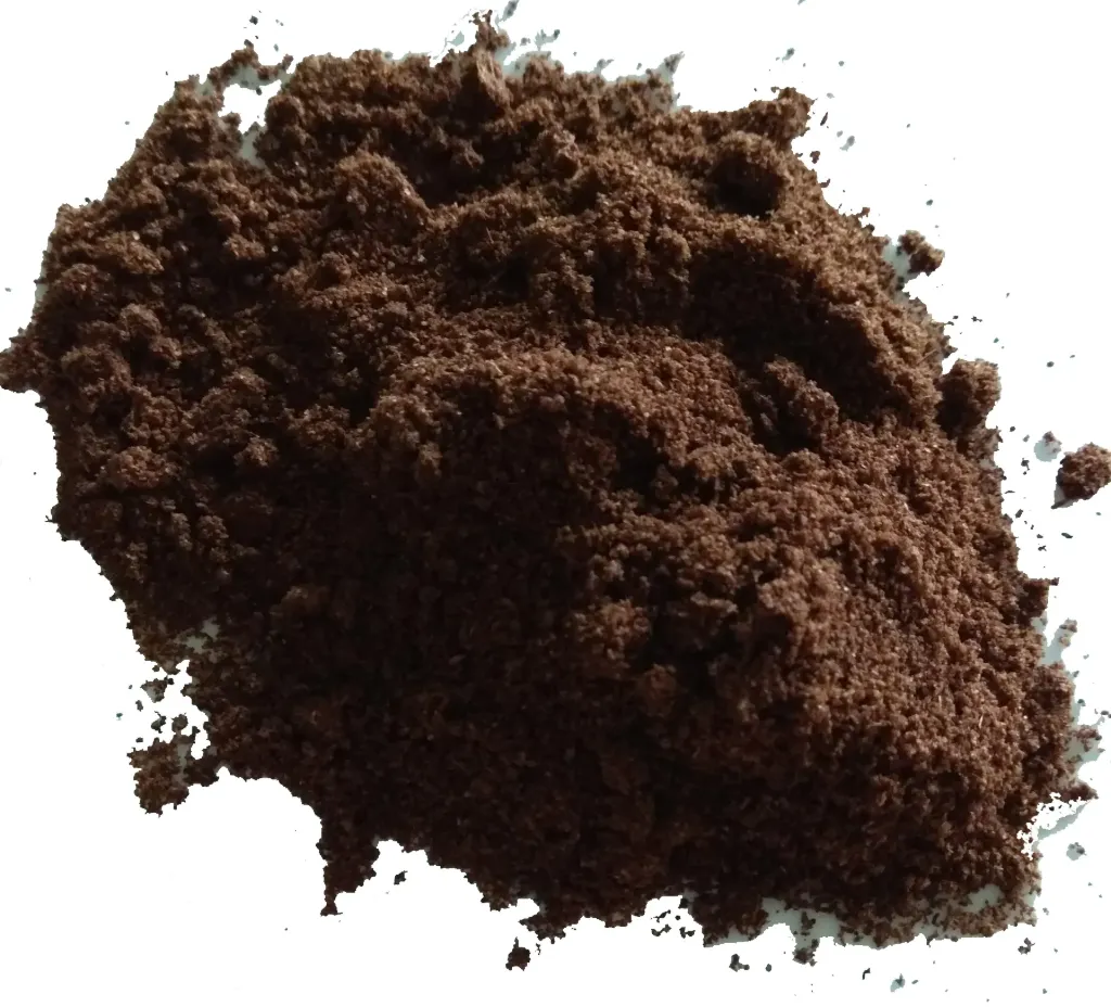 Curry noir /20g