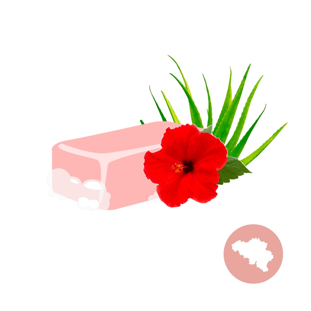 Savon Aloe Vera-Hibiscus - Non parfumé
