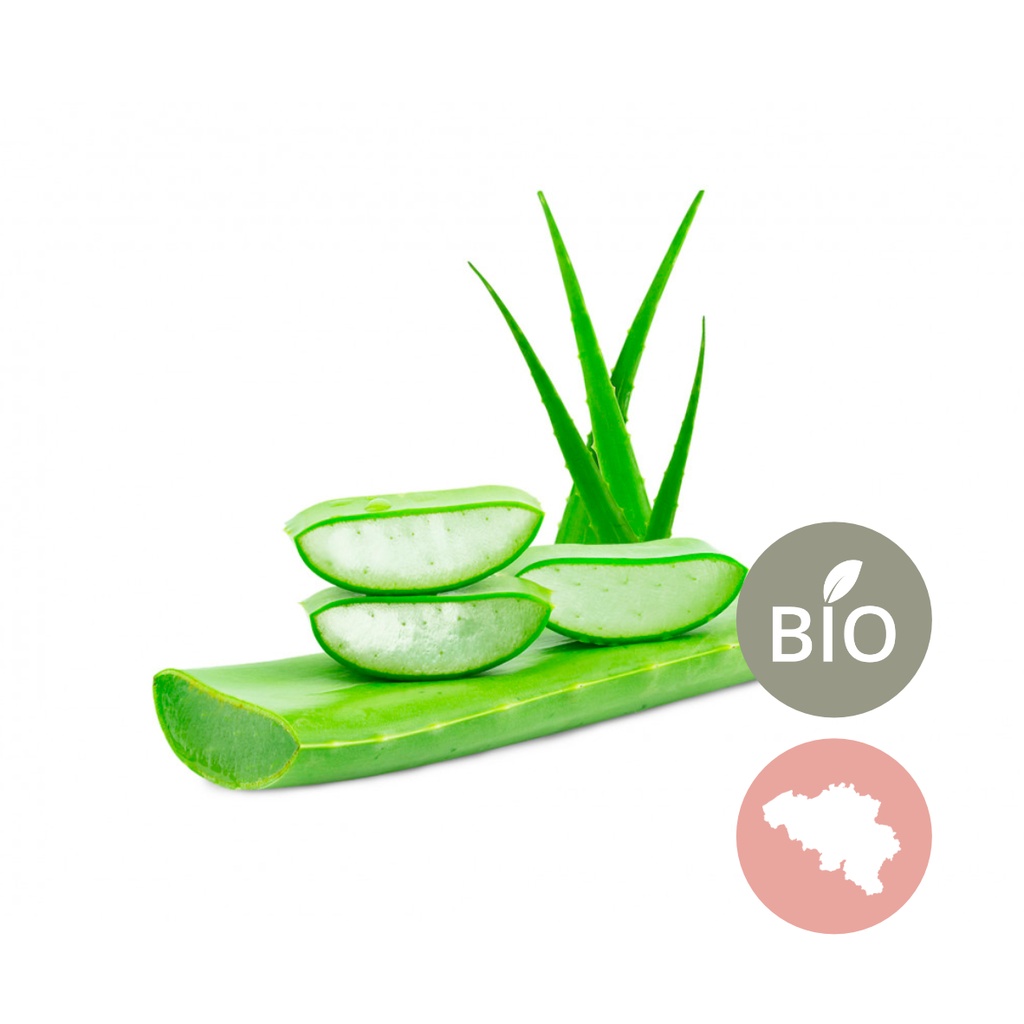 Gel d'Aloe Vera /100ml