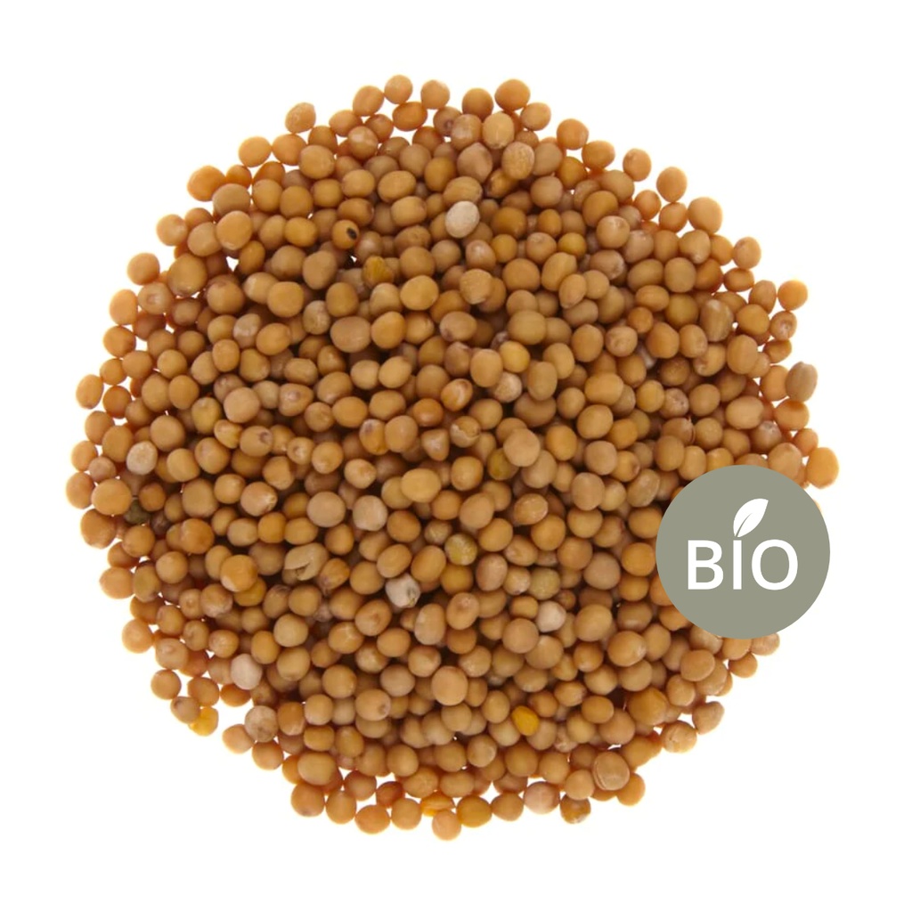 Graines de Moutarde jaunes /100g