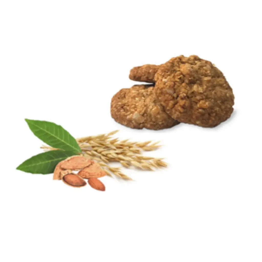 Biscuits Avoine-amande Vegan-Sans Gluten /100gr