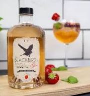 Gin Blackbird - Fraise de Wépion