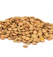 Lentilles Blondes /200g 